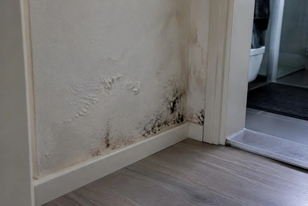 Lekdetectie Alblasserdam – vochtplek met schimmel op een muur